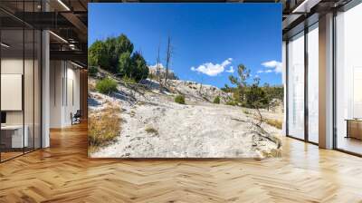 Mammoth Hot Springs Wall mural