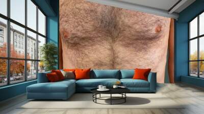 A man with a hairy male breast close-up. Long chest hair Wall mural