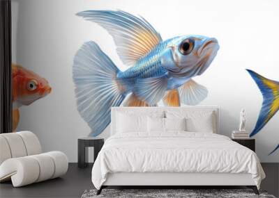 Colorful fish collection isolated on transparent background Wall mural