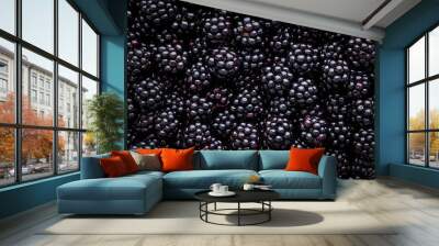 Close up of shiny, freshly picked blackberries Wall mural