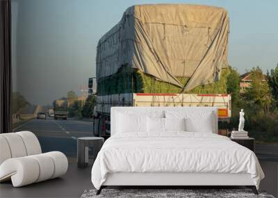 Rear view of two logistics trucks going on highway traffic with a load of green straw bales closed with a tent. Wall mural