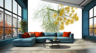 Fennel Flowers and Leaves Wall mural