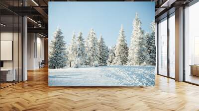 amazing winter landscape with snowy fir trees in the mountains Wall mural