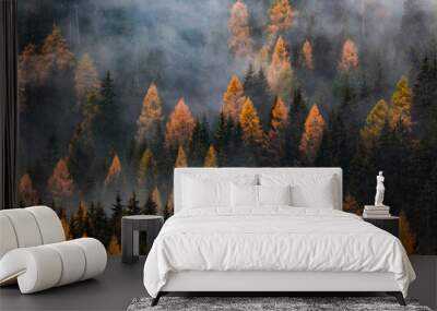 autumn nature background forest in fog Wall mural