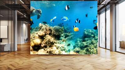 coral reef and sea life banner Wall mural