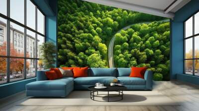 curvy road through green summer forest drone view Wall mural