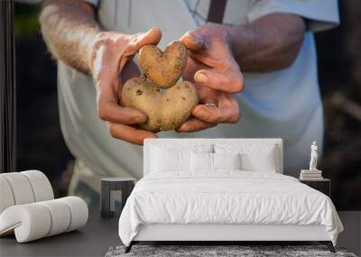 farmer holding heart shaped potatoes ready for planting organic gardening Wall mural