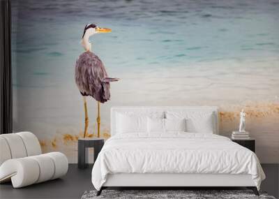 great Blue Heron by the sea Wall mural