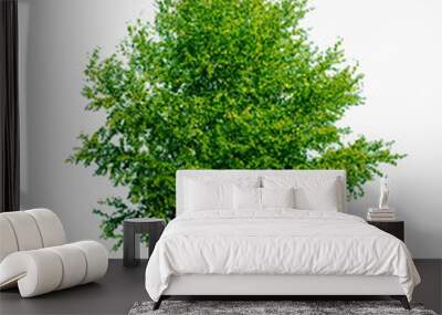 green tree in a light bulb - save energy, fight global warming Wall mural