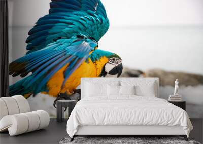 parrot / Macaw Close Up portrait Wall mural