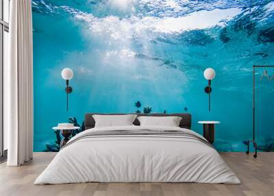 underwater marine life on coral reefs Wall mural