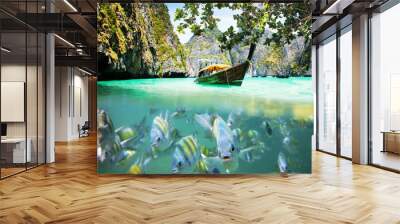 Underwater picture with fish and remote island Wall mural