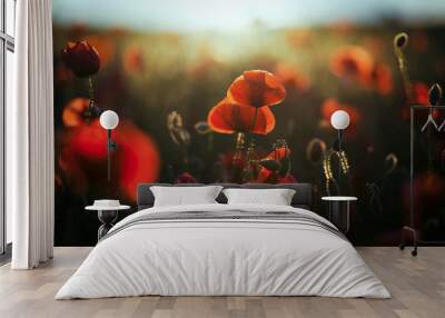 wild poppy field - Armistice day background Wall mural