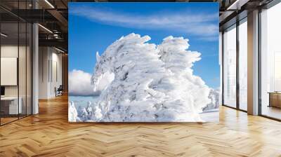 winter wonderland with snowy fir trees in the mountains Wall mural