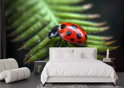 Close-up of a ladybug crawling along the edge of a bright green, curled fern frond, the vivid red and black insect contrasting against the lush spring foliage. Wall mural