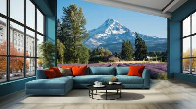 Lavender flower field near Mt. Hood in Oregon, with an abandoned barn. Wall mural