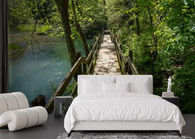 Natural spring in Ha Ha Tonka State Park - Lake of the Ozarks Missouri. Pedestrian walking bridge going over the water Wall mural