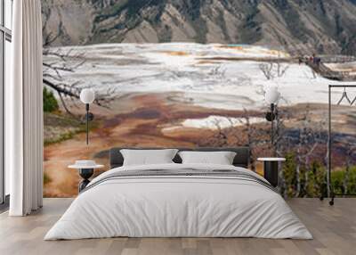 The colorful terraces of hot springs in the Mammoth Hot Springs area of Yellowstone National Park Wall mural