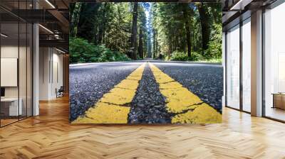 The road through Newton B Drury scenic parkway in Redwood State and National Park is lined with giant Redwood Trees Wall mural