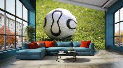 Soccer ball on grass Wall mural