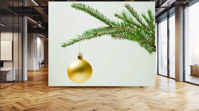 Prickly Christmas tree branch on a light background with a Christmas toy. Minimalism Wall mural