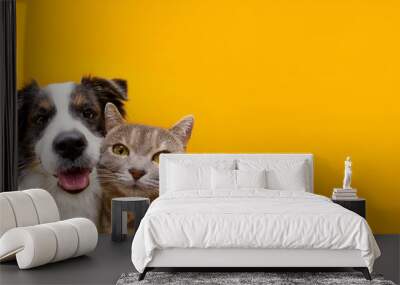 Vet banner with pets and copy space for text. Dog and cat smiling with happy expression and closed eyes. Isolated on yellow background Wall mural