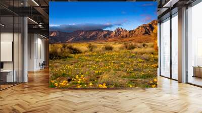 Poppies Blooming Wall mural