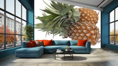 Two pineapple Wall mural