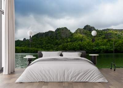 Speed boat moving at high speed on a green water river against a backdrop of hills, cloudy skies and forests. These river trips are very popular in the Kilim geoforest in Malaysia Wall mural