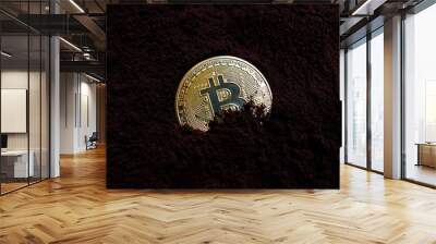 golden bitcoin on soil background. cryptocurrency concept Wall mural