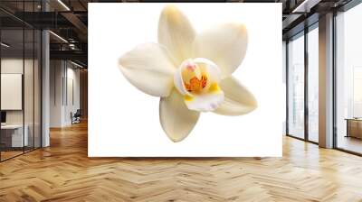 vanilla pod with a flower isolated on transparent background Wall mural