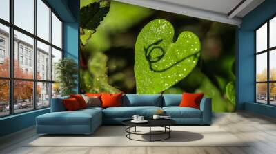 Heart shaped leaf with shadow Wall mural