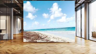 View of a relaxing beaching under the bright blue sky Wall mural