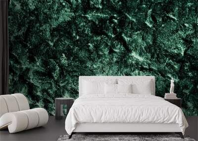 empty black green old concrete wall texture backgrounds Wall mural