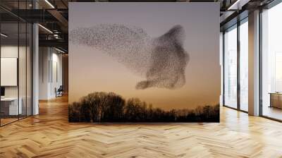 The Murmurations of Starlings in evening light Wall mural