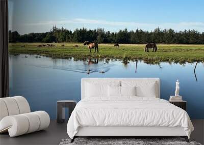 ducks on the river and horses on the shore Wall mural