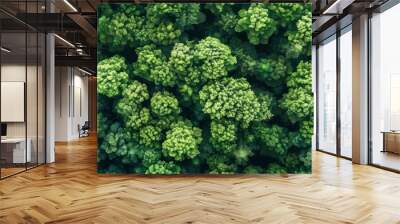 Aerial top view of green trees in forest. Drone view of dense green tree captures CO2. Green tree nature background for carbon neutrality and net zero emissions concept. Sustainable green environment. Wall mural