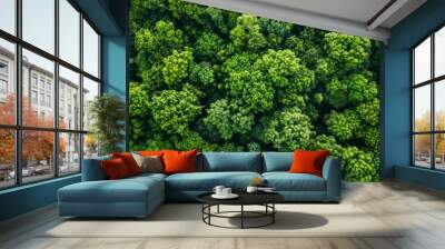 Aerial top view of green trees in forest. Drone view of dense green tree captures CO2. Green tree nature background for carbon neutrality and net zero emissions concept. Sustainable green environment. Wall mural