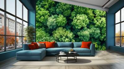 Aerial top view of green trees in forest. Drone view of dense green tree captures CO2. Green tree nature background for carbon neutrality and net zero emissions concept. Sustainable green environment. Wall mural