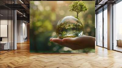 Earth crystal glass globe ball and growing tree in human hand. The concept of Environmental day. Earth day. Eco Earth Day concept Wall mural