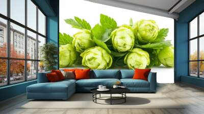 Green hops isolated on a white background Wall mural