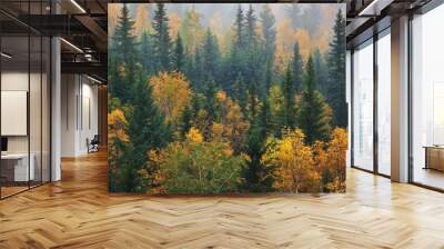 Realistic photography of coniferous forest. Abstract background of a northern forest Wall mural