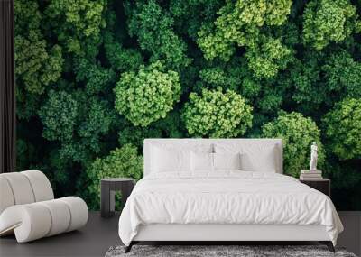 Sustainability net zero carbon negative forest nature Biodiversity Diversity Wall mural