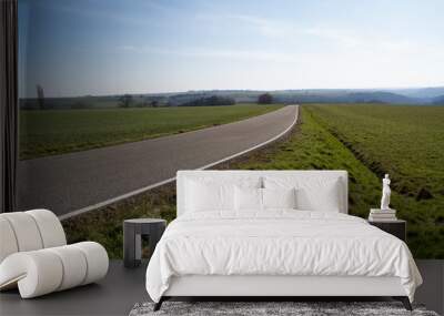 Rural road between grass fields with blue sunny sky in spring  Wall mural