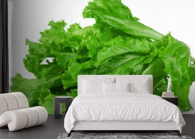 Fresh green lettuce leaves isolated on white background Wall mural