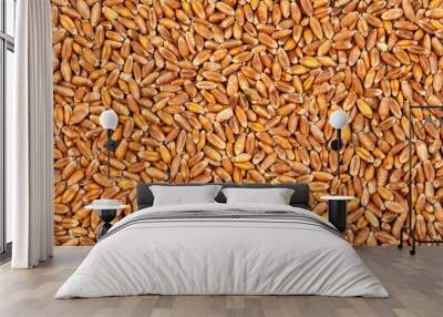 Texture background of wheat seeds. Food background. Wall mural