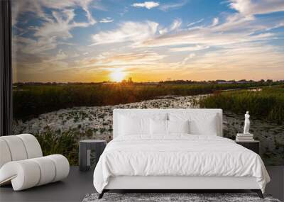 Sunset over a ditch with water lilies in the Dutch polder landscape near Gouda, The Netherlands Wall mural