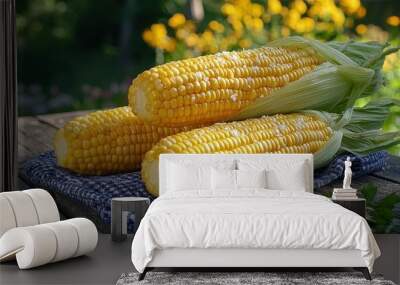 Freshly harvested sweet corn on the cob. Concept of summer, farming, and healthy eating. Wall mural