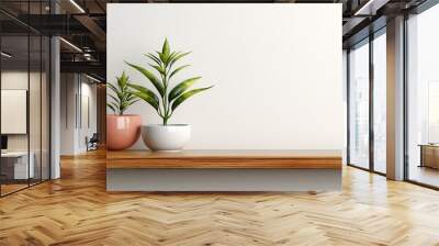 Wood shelf with plant in pot on white wall background. Wall mural