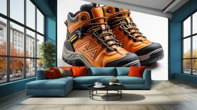 Safety Shoes Boots Front View symmetrical Wall mural